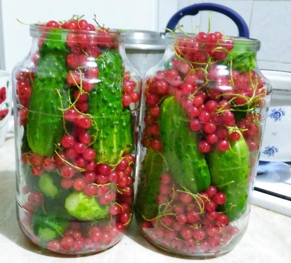 рецепт засолки огурцов на зиму в банках